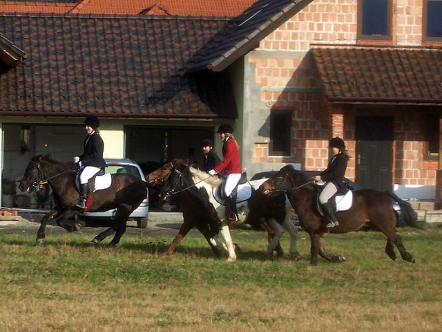 Zawody w Raciechowicach SJK Hucuł 2006